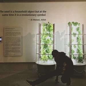 Meet your Posher, Dominique